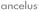 AncelusDB