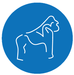Beringei Logo