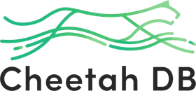 CheetahDB Logo