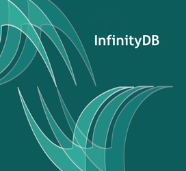 InfinityDB Logo