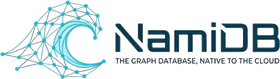 NamiDB Logo