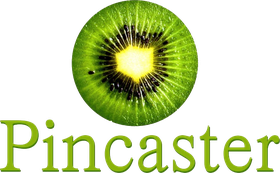 Pincaster Logo